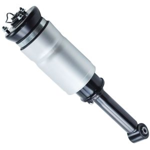 LR019993 Air Suspension Parts Air Suspension Strut