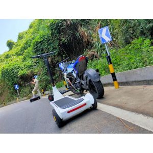 15.6'' Front wheel Precursor Driving Electric E Scooter