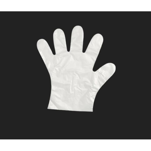 Buy Premium quality cheap transparent plastic ldpe/ hdpe gloves at wholesale prices