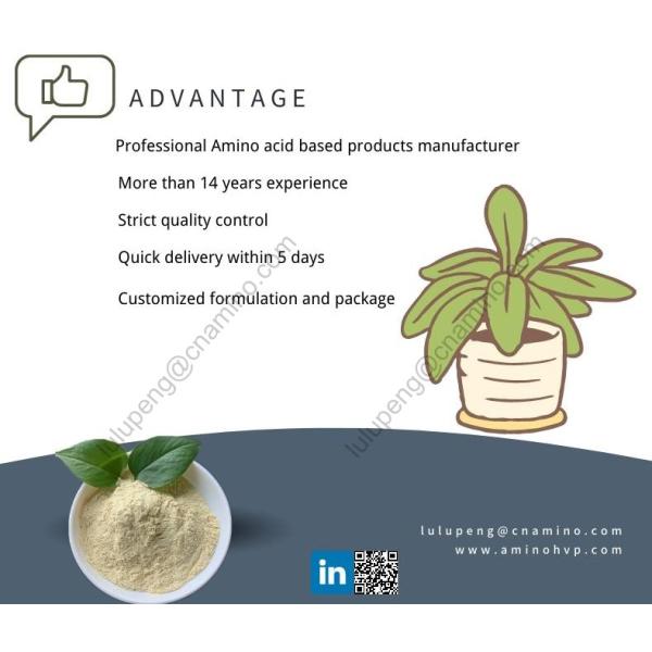 Agricultural Organic Foliar Fertilizers Amino Acid 80% 14-0-0 OMRI List