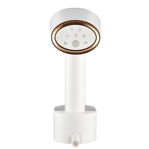 Travel-Friendly 2000W Electric Garment Steamer 250ml Water Tank Hair Brush