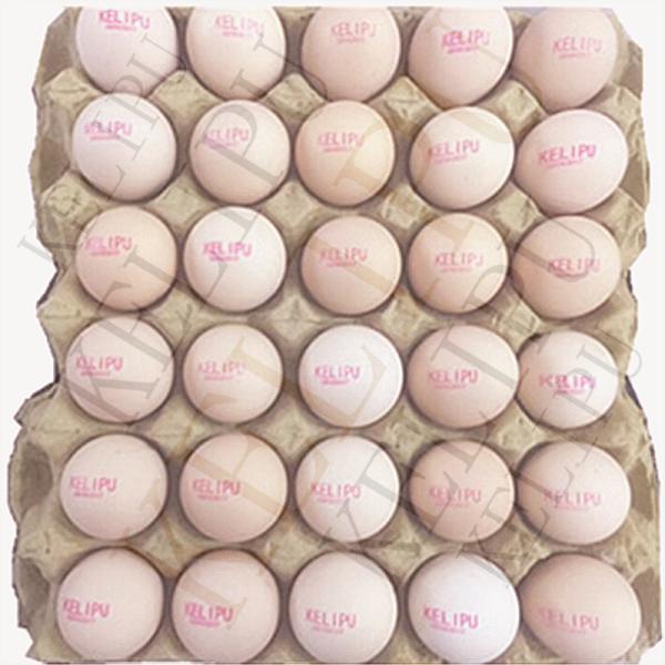 The Whole Pallet Egg Printing Machine , Industrial Inkjet Printer For Eggs