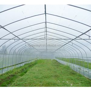 150Micron Single Span Greenhouse Customizable Plastic Film Greenhouse