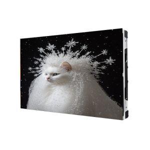 China P1.25 Fine Pixel Pitch Displays COB 600x337.5mm Front Service For Exhibition Hall on sale