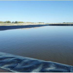 ASTM GRI-GM13 Standard 1.2mm Black EPDM Waterproof Large Pond Liner for Garden