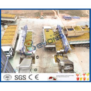 CE Citrus Processing Equipment , Orange Juice Plant With Fruit Processing