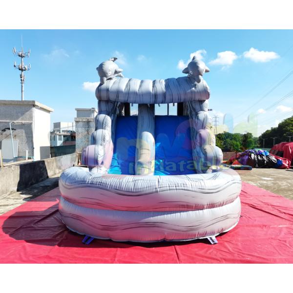 Water Park Plato Commercial Inflatable Slide With Pool