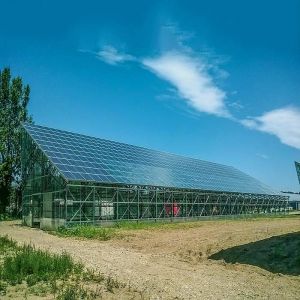 Rust Protection Greenhouse PV Mounting Structure Wind Load 60m/s