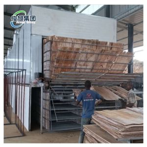 Customizable Wood Veneer Dryer 20-50 Cubic Meters