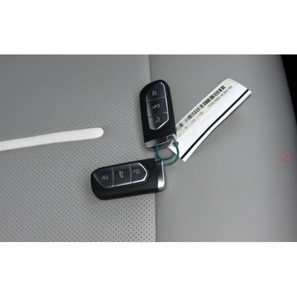 VOYAH FREE 2022 DNA Joint Name Extended Version Medium Large SUV 5 Door 5 Seats