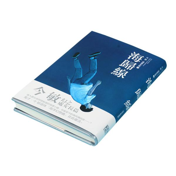 Silver Pantone Color Hardcover Book Printing , 175mmx229mm Spine Cover Book