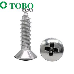 Stainless Steel A2 DIN7983 Cross Raised Countersunk Head Self Tapping Screw