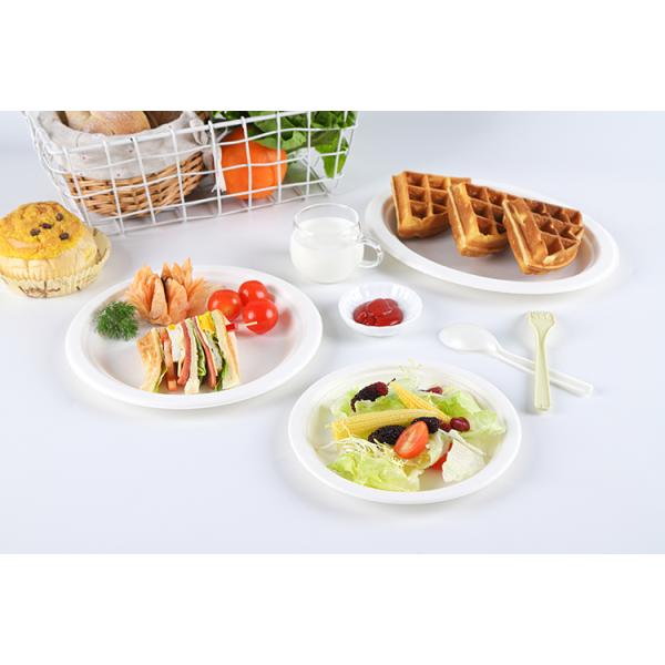 Biodegradable Sugarcane Pulp Party Dinnerware Plate Sugarcane Bagasse Paper Plate Round Disposable Plate dishes