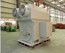 Squirrel cage asynchronous motor