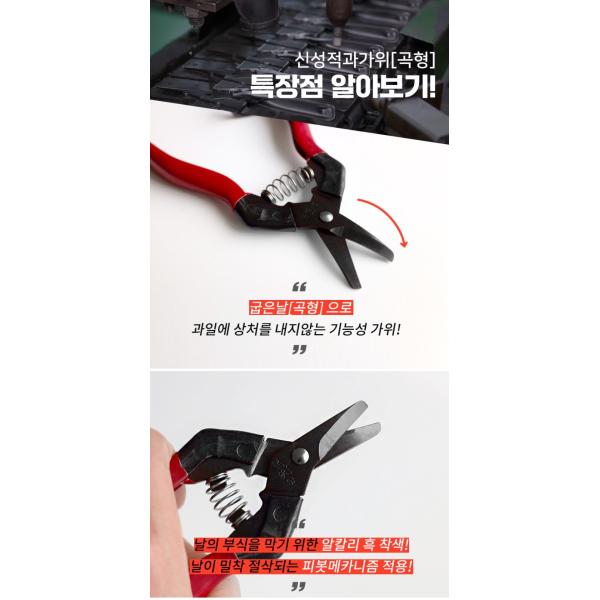 Ultra Sharp Garden Pruning Shears Featuring High Quality Carbon Steel Blade Long
