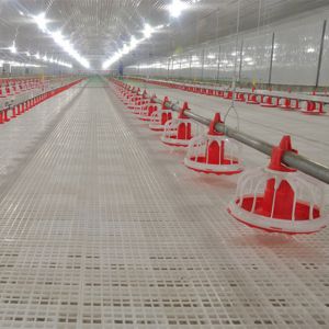 Farm Closed House Ground Plastic Slats For Poultry