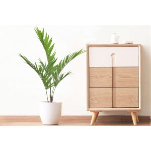 SGS Natural Artificial Potted Floor Plants Kenita Palm Tree