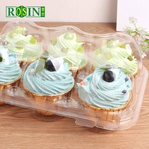 Custom Clear PET Plastic Cake Packaging Boxes 6 Count Convenient Assembly