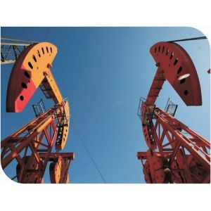 Conventional Walking Beam Pumping Unit Crank Balance One Year Warranty