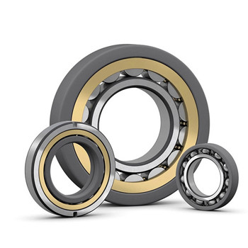Buy P6  NU 204 ECP SKF Roller Bearings With Catalogue at wholesale prices
