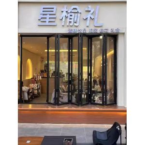 Modern Black Folding Windows - Architectural Statement Frames