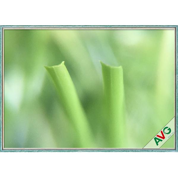 Buy 50 Mm SGS Approved Football Field Artificial Grass / Synthetic Turf For Soccer Field at wholesale prices