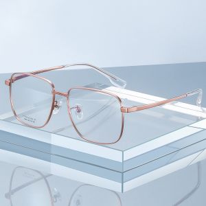 Optical Pure Titanium Eyewear Frames Skin Friendly with Removable Screws
