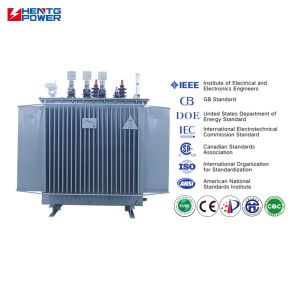 Low Loss Oil-Immersed Distribution Transformer 800kVA 20kV for Grid Applications