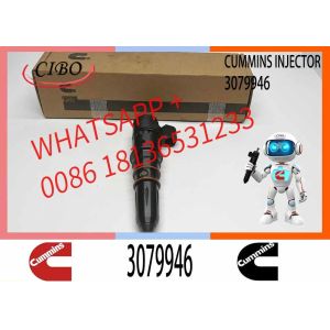 Genuine Engine Spare Parts STC 3079946 3079947 3087587 3095773for Cummins KTA19