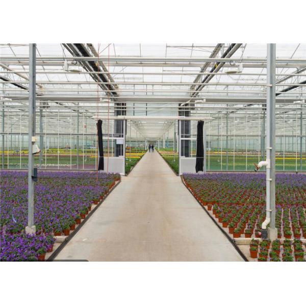 Silver Color Garden Glass Greenhouse With Enhanced Insulation Performance