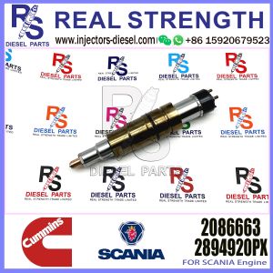 China Diesel Common rail  fuel injector   4905880	2086663   2894920PX	2058444  for SCANIA Excavator  DC09 DC13 DC16 on sale