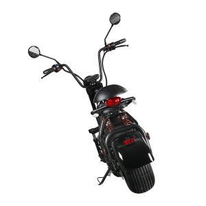 Citycoco 2 Wheel Electric Scooter 20 Degrees Climb Capability Double Hydraulic