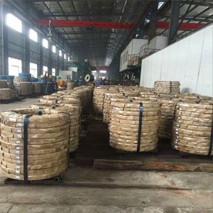125Cr2 1.2002 Alloy Spring Steel Strip
