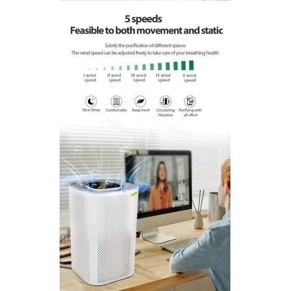 2022 New Purificador De Aire Hepa Desktop Ionized Air Purifier Negative Ion True Hepa Filter Portable Air Purifier Manufacturer
