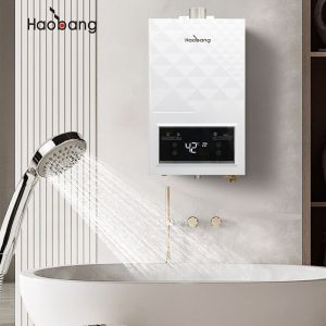 220V/110V Forced Exhaust Gas Water Heater With Oxygen Free Copper Heat Exchanger