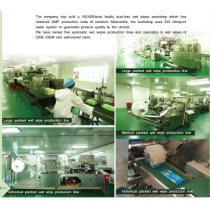 Biodegradable 30 Packs Antibacterial Wet Wipes 100% Natural Viscose Fiber