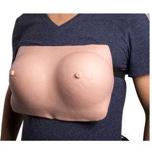 Quality Breast Examination Gynecologic Simulator With Wear Belt for sale