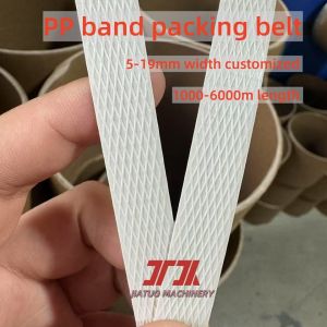 Plastic PP Packing Strap With 5-19mm Width Color Customized Use For Carton Egg