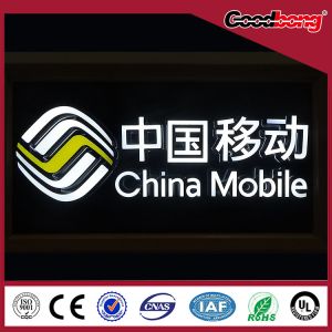 Quality Acrylic thin vacuum hotsale light high quality custom vivid alphabet letter for sale