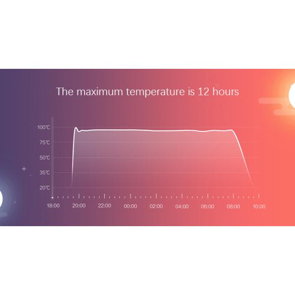 Original Xiaomi Mi Temperature Control Stainless Steel Electrical Kettle