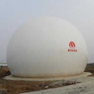 Free Standing Double Membrane Biogas Holder