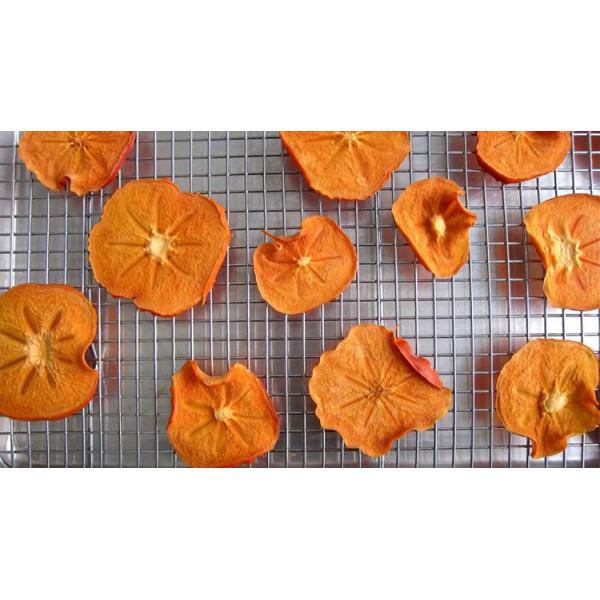 Food Grade FDA Stainless Steel Drying Tray For Fruits Meat Spice And Granules