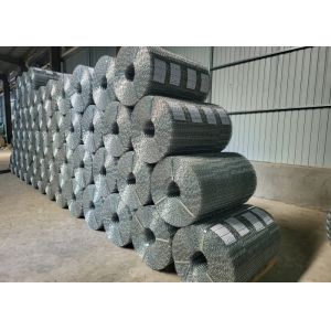 190.5 Width In Roll Hot Dipped Galvanized Reinforced Wire Mesh For Wastewater
