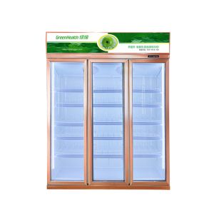 China R134a Fan Cooling Commercial Display Refrigerator Drink Chiller on sale