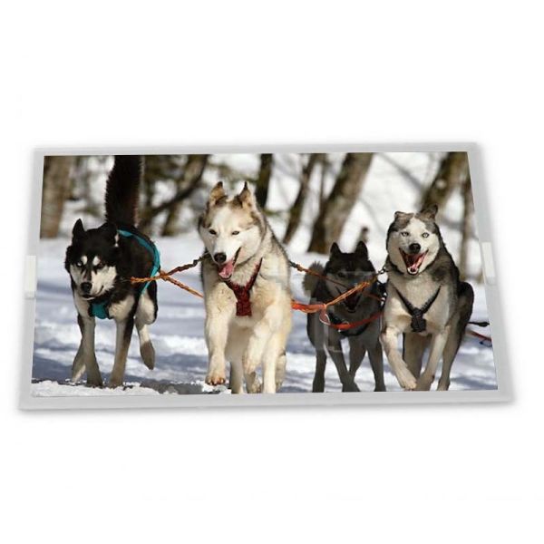 Buy 15 Inch High-quality Services AA150XN01 Lcd Screen 1024*768 CCFL Lcd Display Panel at wholesale prices