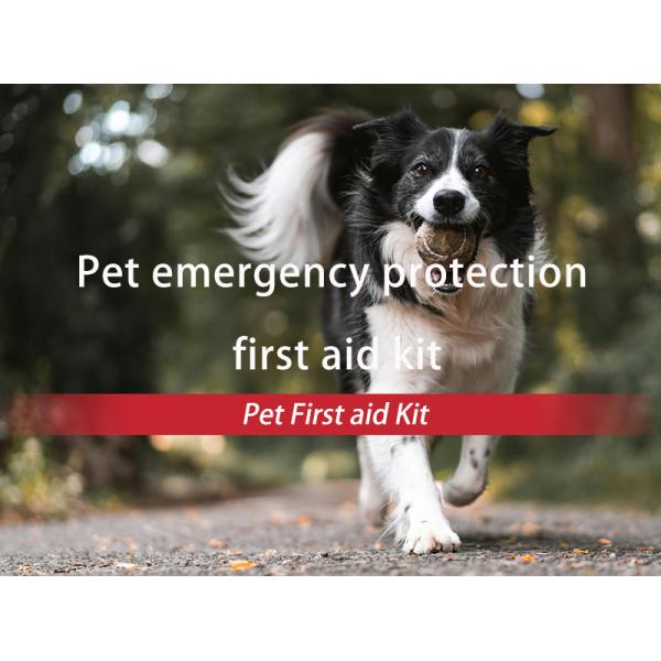 Veterinary Red Pet First Aid Emergency Care Customized Color Dog Emergency Kit