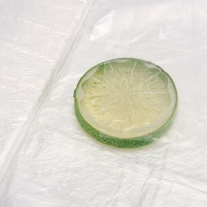 Portable Transparent Chair Furniture Sofa Dust Cover with Green and Customized