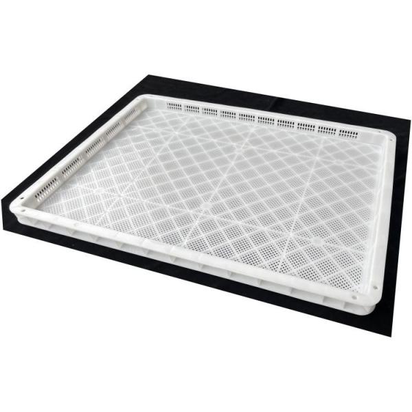 Customizable Food Grade Plastic Vented Tray For Freezing Storage Drying Stacking