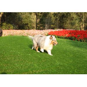 30MM Home Residential Pet Friendly Artificial Turf Durable Abrasive Resistance