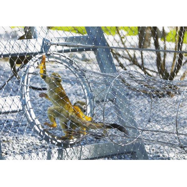 316 Stainless Steel animal enclosure mesh For Monkey